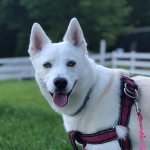 Meet your Posher, Matt